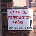 Zdjcie