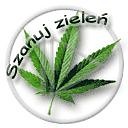 Wpis kisiel120