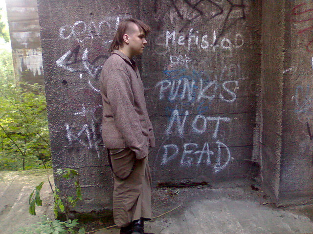 PUNKS NOT DEAD 