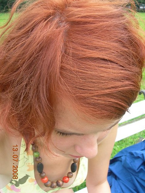 Wpis anguu