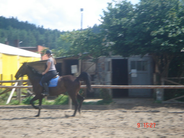 Wpis golhardzik
