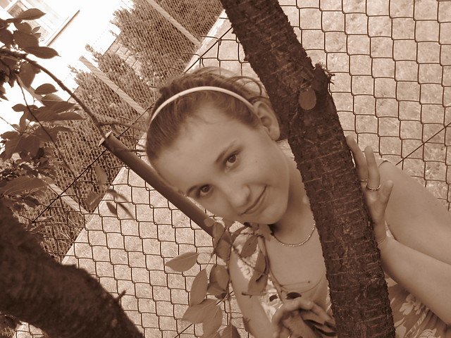 Wpis ptyska