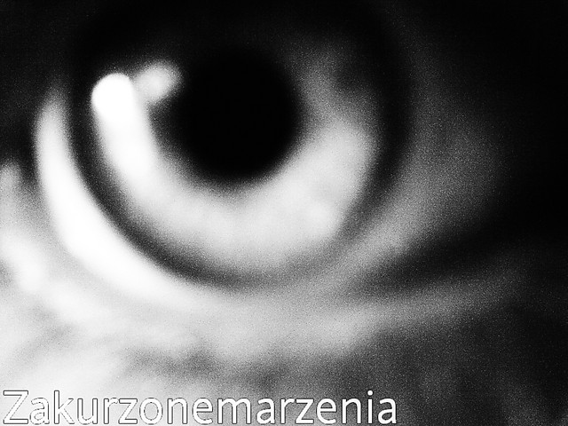 Wpis zakurzonemarzenia