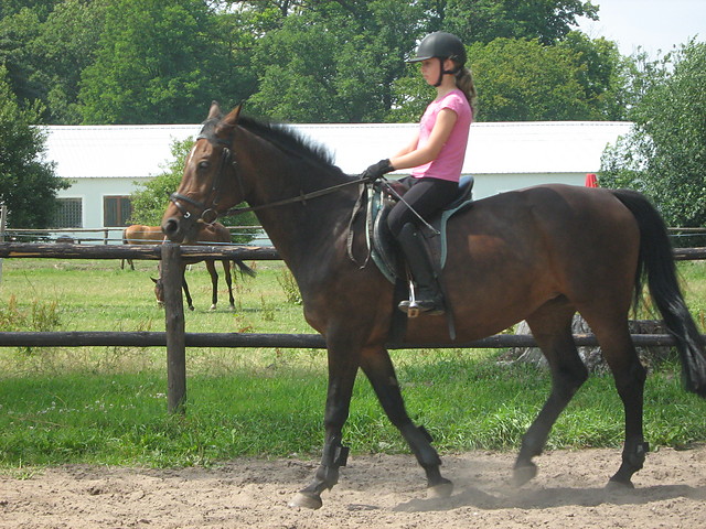 Wpis caballo15