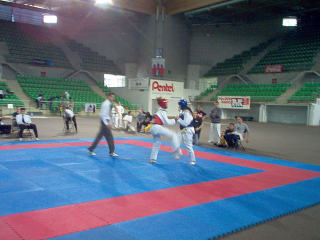 Taekwondo WTF