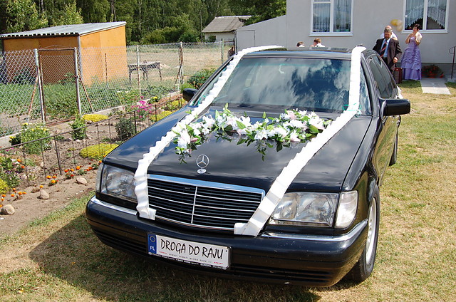 Wpis leonciozawodowy