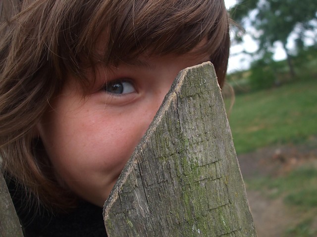 Wpis sweetshrew