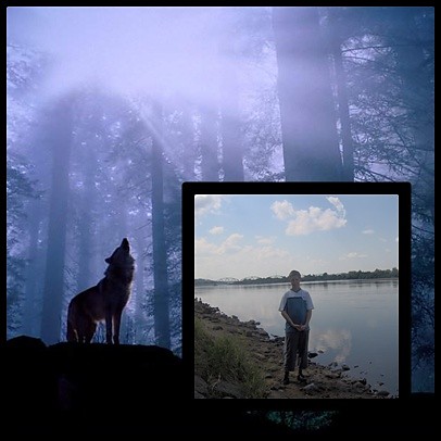 Wolfs