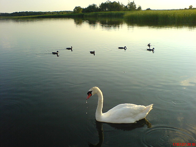Wpis akapulko