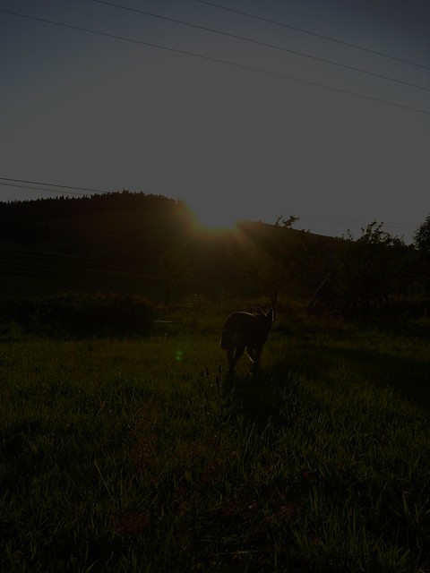 Czekaj! Nie odchod...prosz!