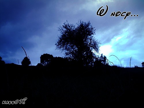 W nocy.....