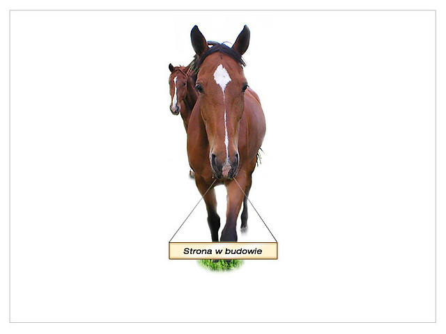 Wpis horsestarpl