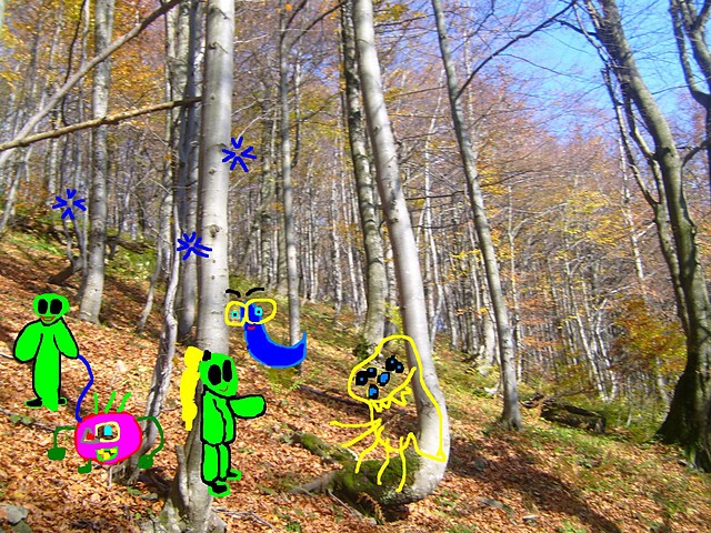 Wpis sylbub29