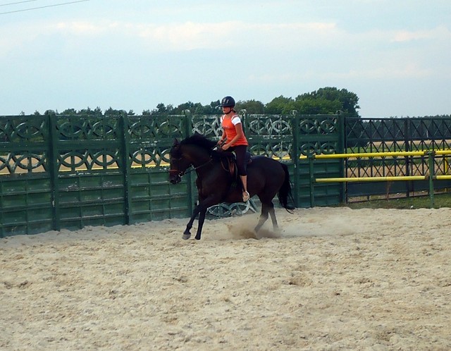 Galop :)