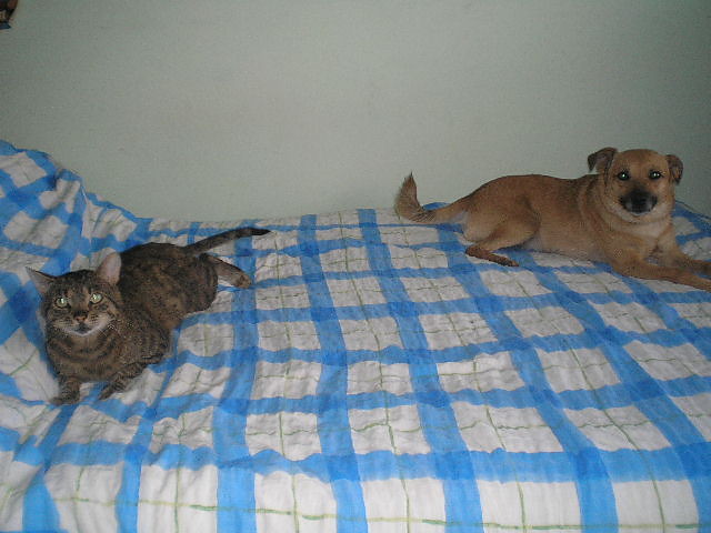 Mj kotek z pieskiem ;*** !!!