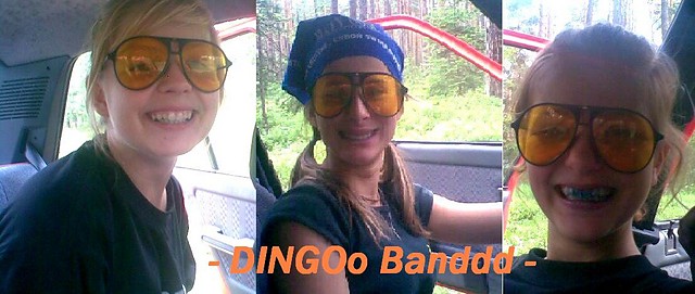 Wpis dingoosquad