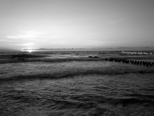 Morzee.. :)