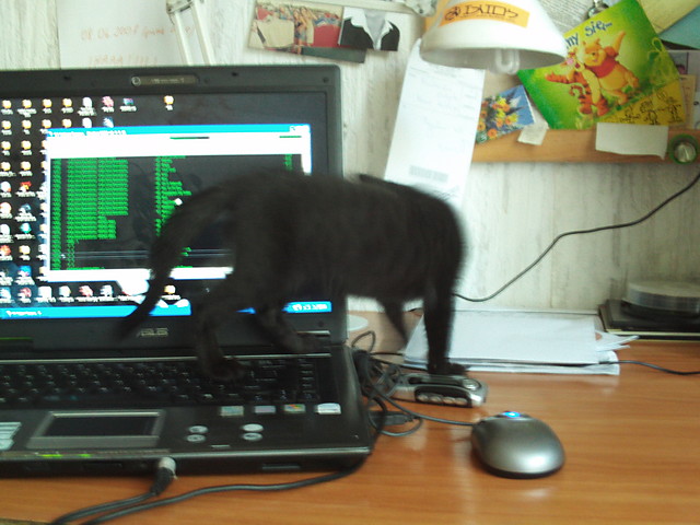 Wpis superuser