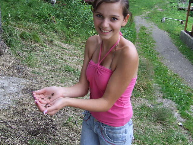zabek 7 