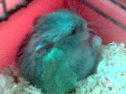 Franklin < 33333333333
