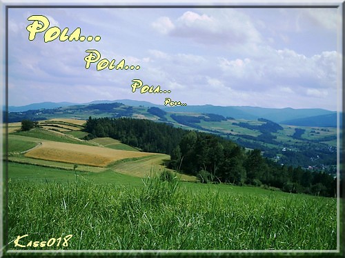 Pola, pola, pola...
