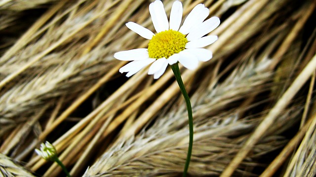 `a ty zaczaruj mnie...`