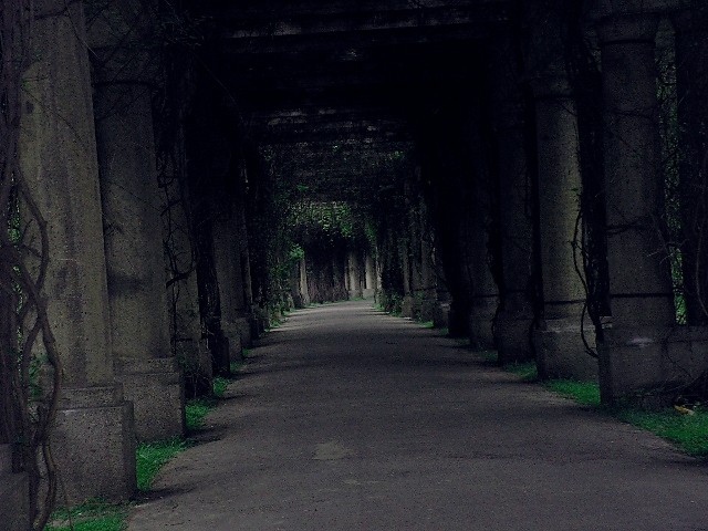 pergola.