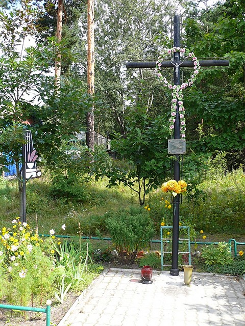 Wpis stalowowolski