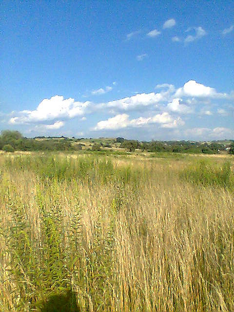 Sczw