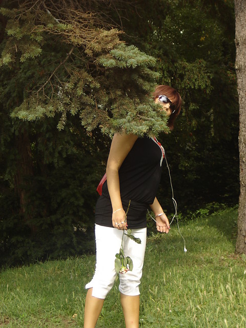 Wpis myszka5a