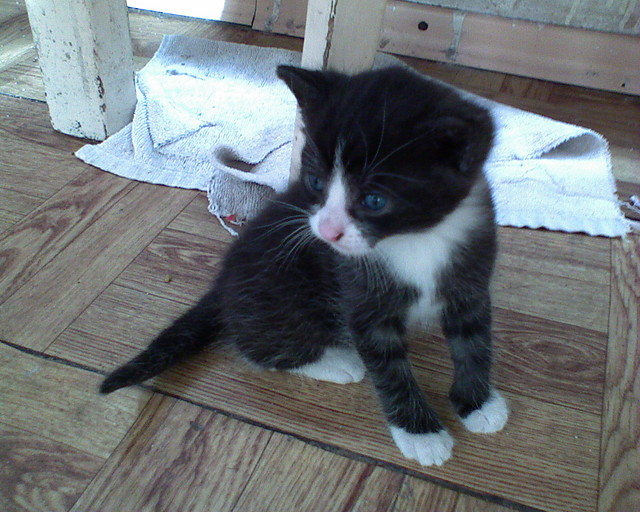 Filemonek Bo tak :P