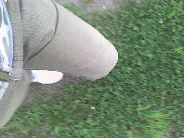 Wpis malolatka