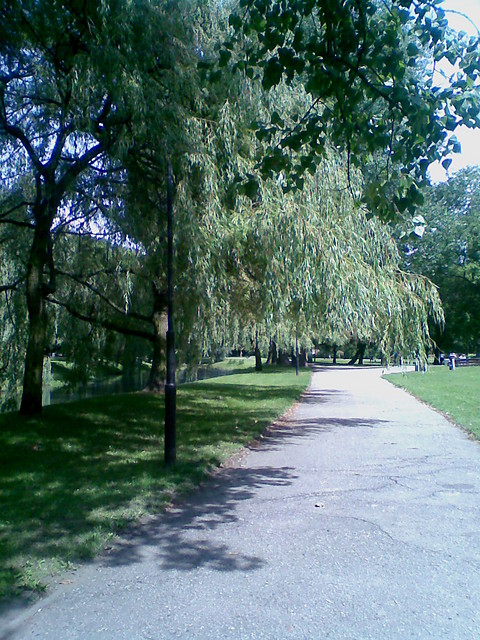 Park Sienkiewicza 