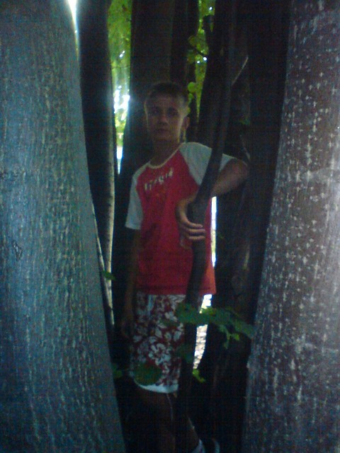 Wpis davidos10