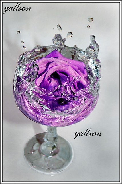 Wpis gallson