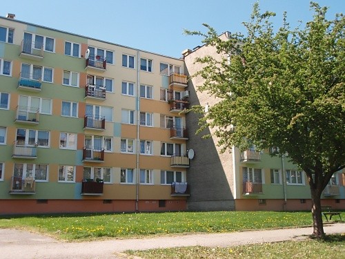 Wpis buziolka
