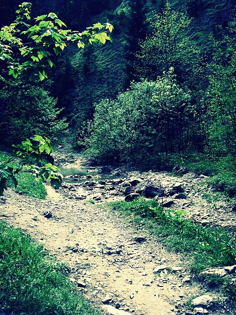 pieeeeeeeeeeeniny.