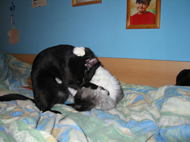 Wpis paateczka004