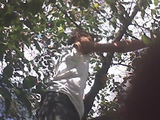 Na plantacji