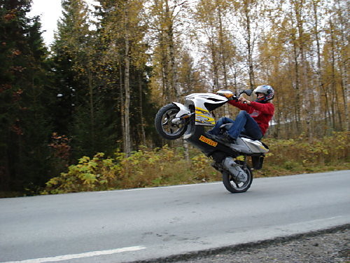 StUnT - Dawcy Czy Pasjonaci?