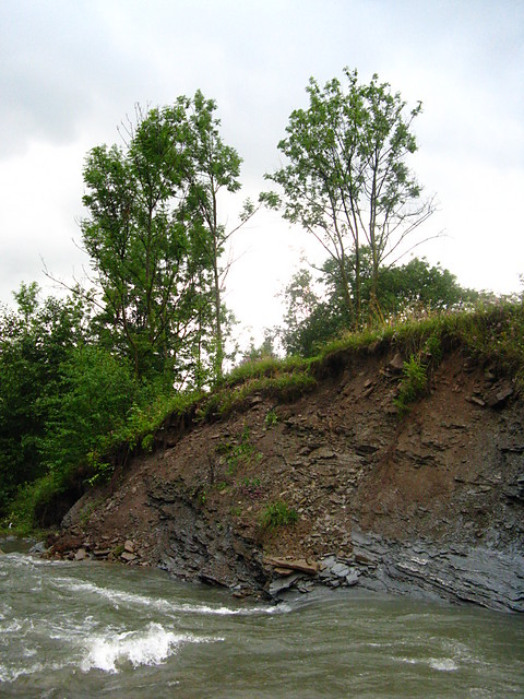 Wysoki poziom wd
