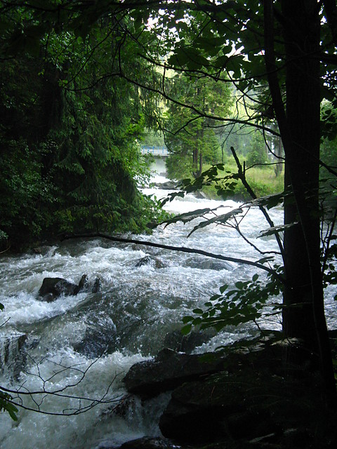 Wysoki poziom wd- most