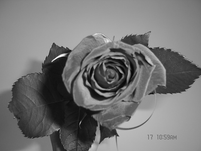 marzenia...
