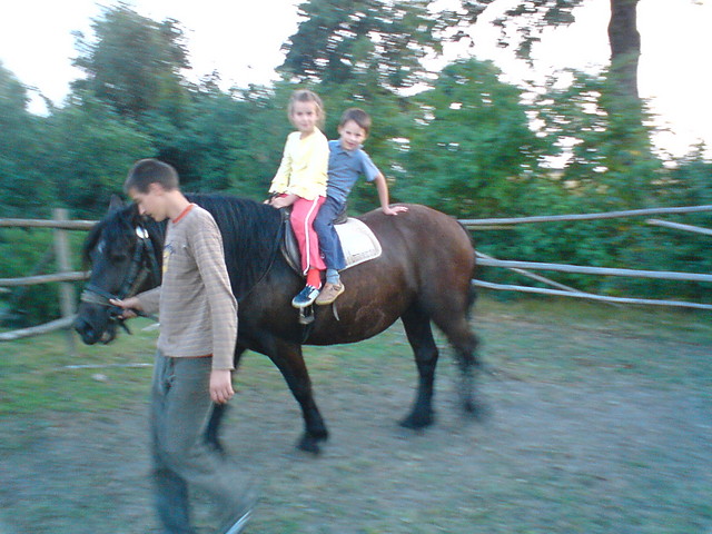Wpis kaja2000