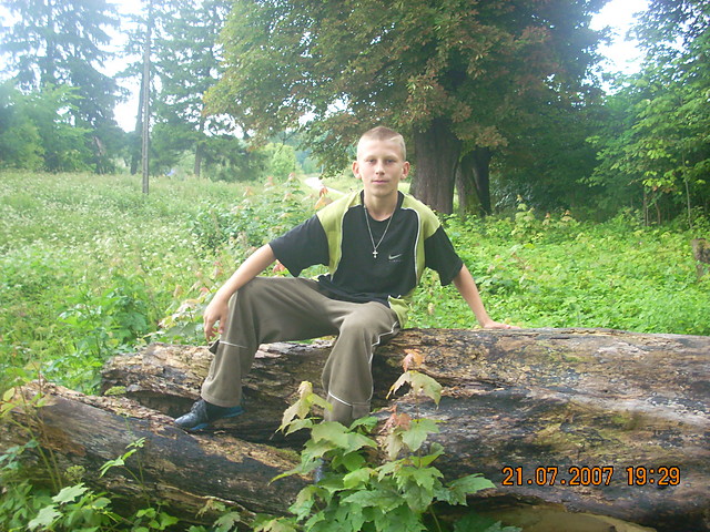 w Pelinie