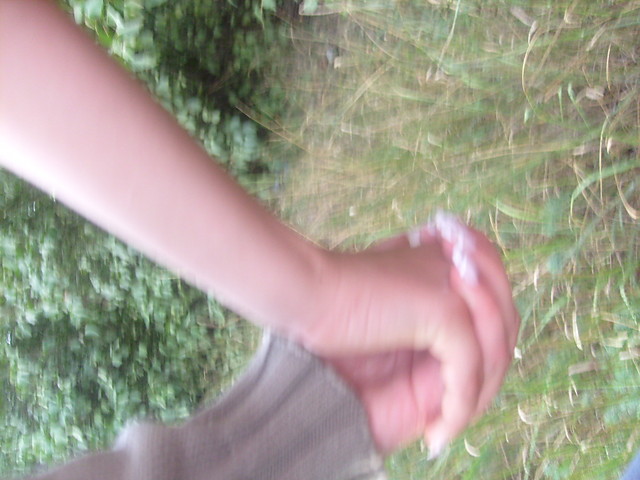Wpis swirusy2