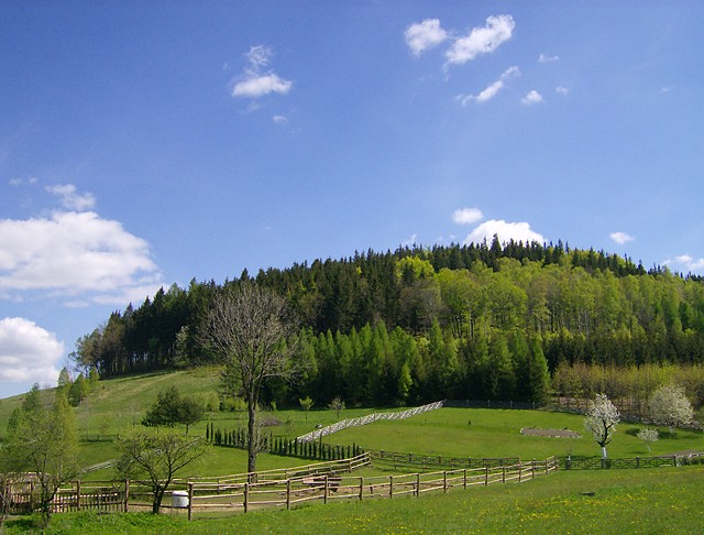 Wpis marowa