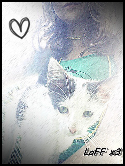 z KiciuSiem :**
