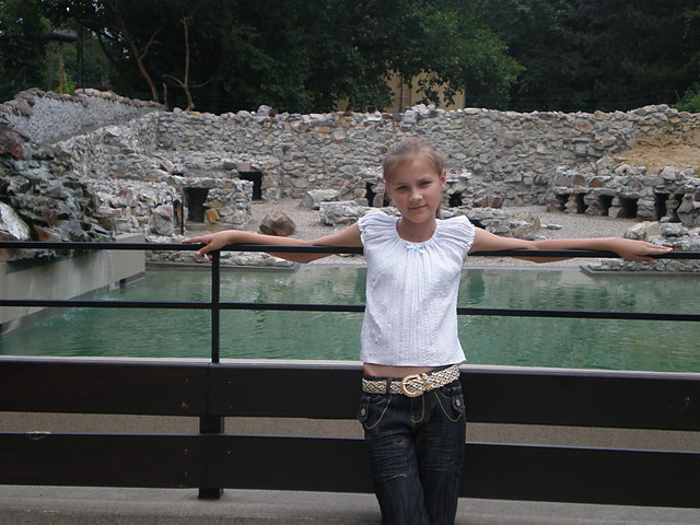 zoo w Pocku