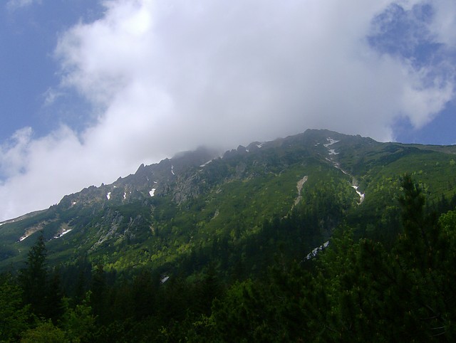 Wpis igulinka01